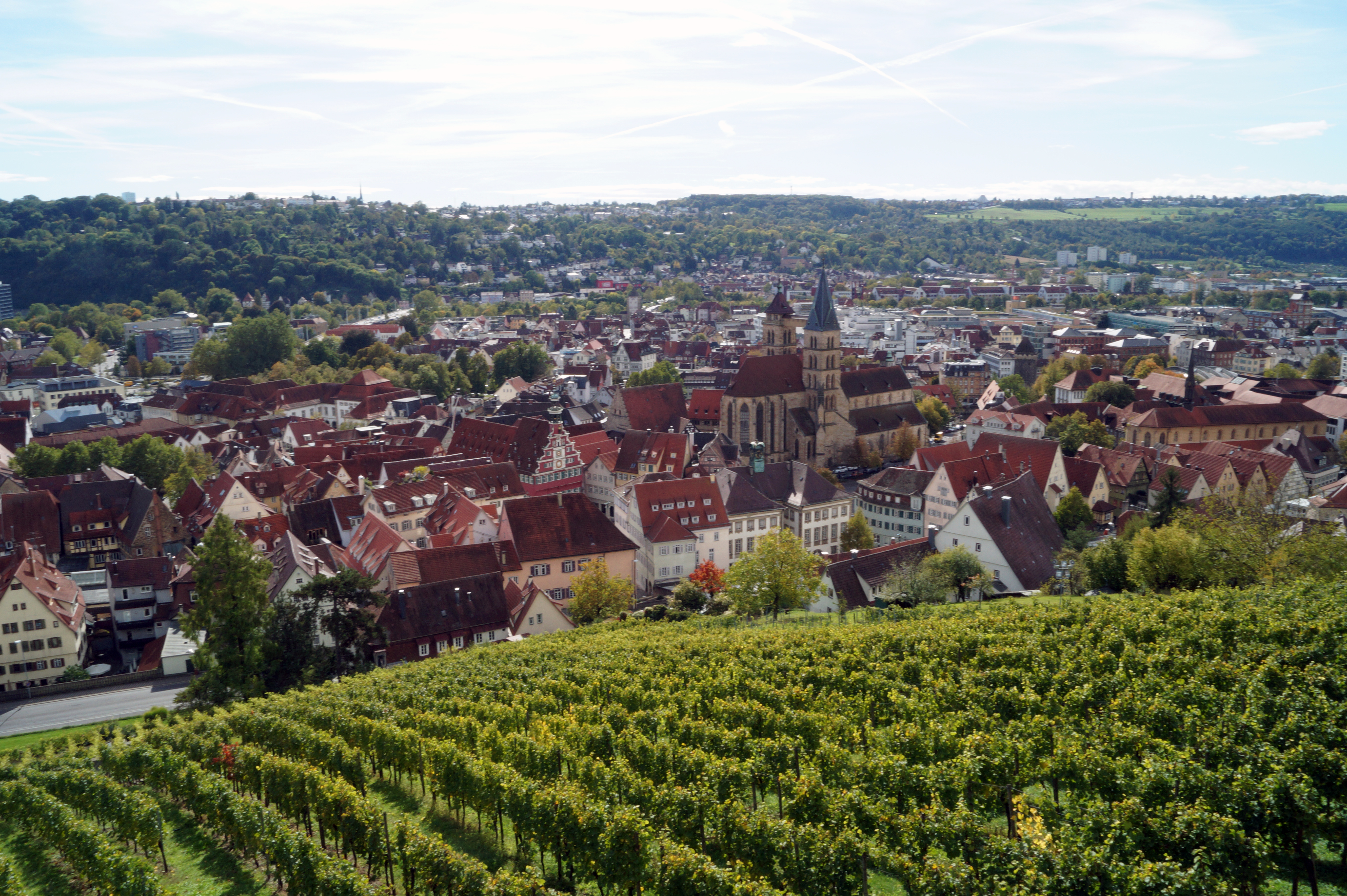 Blick von der Esslinger Burg auf die Stadt. Morgenstadt Smart City